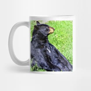 Brown Bear sitting on a hill Mug